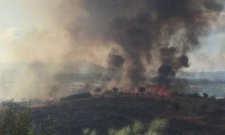El Plan Infoex considera estabilizado el incendio de Portaje que podría haber afectado a 143 hectáreas