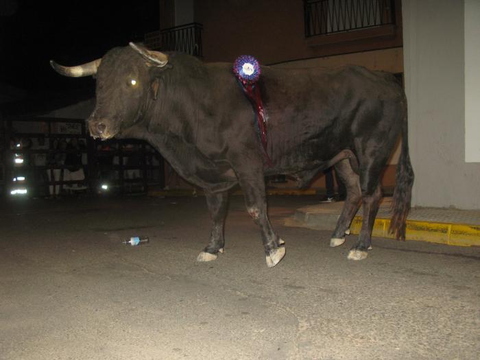 El segundo toro del aguardiente de San Buenaventura  finaliza con una persona herida