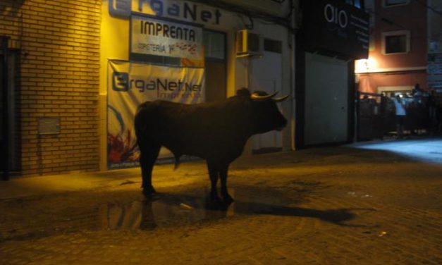 Una persona herida en la suelta del toro de la Comisión de Festejos de San Buenaventura
