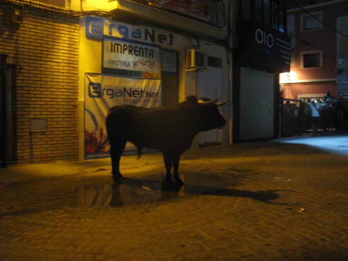Una persona herida en la suelta del toro de la Comisión de Festejos de San Buenaventura
