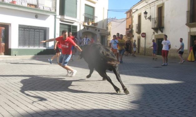 Ningún herido en la suelta del segundo toro de la tarde en los festejos de San Buenaventura