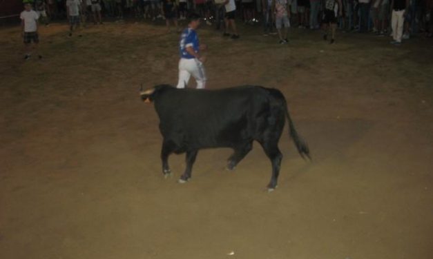La suelta y lidia del penúltimo toro de la tarde en Moraleja no registra heridos destacables
