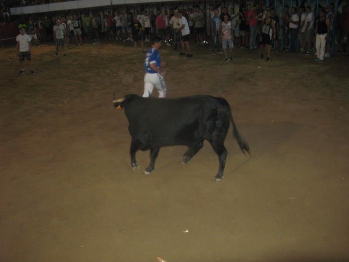 La suelta y lidia del penúltimo toro de la tarde en Moraleja no registra heridos destacables