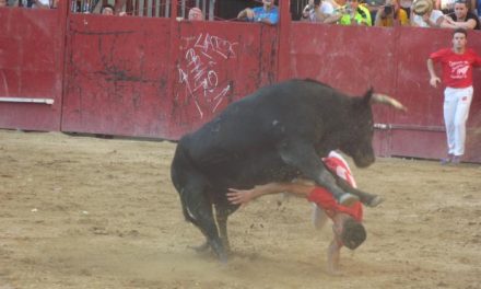 El cauriense, Javier Torres «Motoro» resulta herido por asta de toro en el concurso de recortes de Moraleja