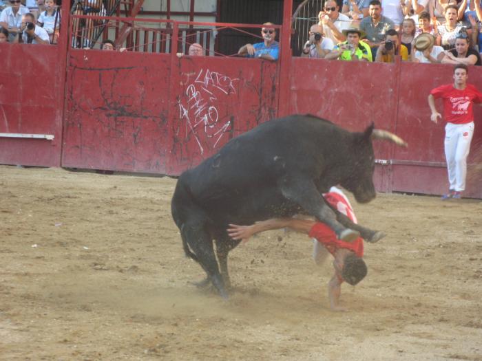 El cauriense, Javier Torres «Motoro» resulta herido por asta de toro en el concurso de recortes de Moraleja