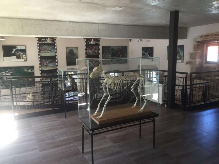 El Centro de Visitantes «El Lobo» será el primer espacio cultural dedicado a este animal en Extremadura