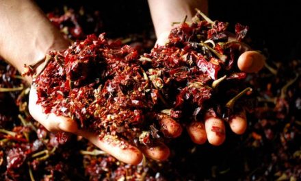 La Junta de Extremadura fomentará el biocombustible en el secado de pimiento para hacer pimentón