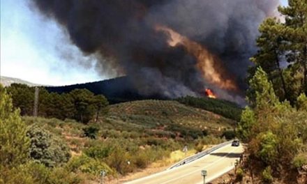 El PSOE de Plasencia propone al ayuntamiento de la localidad impartir charlas contra los incendios