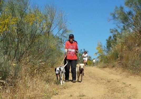 La Protectora de Animales «El Refugio» de Plasencia organiza una ruta canina para recaudar fondos