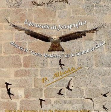 Coria acogerá hasta el 5 de septiembre la exposición ‘Aves en el Casco Histórico de la Ciudad de Coria’