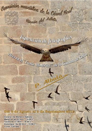 Coria acogerá hasta el 5 de septiembre la exposición ‘Aves en el Casco Histórico de la Ciudad de Coria’