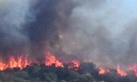 El incendio declarado este jueves en la localidad de Guijo de Galisteo se encuentra estabilizado