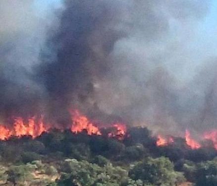El incendio declarado este jueves en la localidad de Guijo de Galisteo se encuentra estabilizado