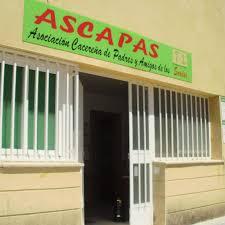 Ascapas organiza dos cursos de lenguaje de signos en otoño en la comarca cacereña de La Vera