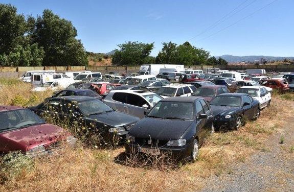 Plasencia adjudica por 31.000 euros los vehículos de la Finca Capote a la empresa Movilidad Extremadura