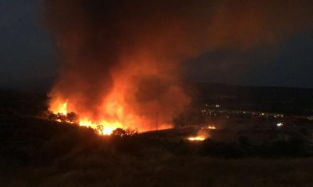 El Ayuntamiento de Plasencia pide ayuda vecinal para esclarecer cinco incendios intencionados