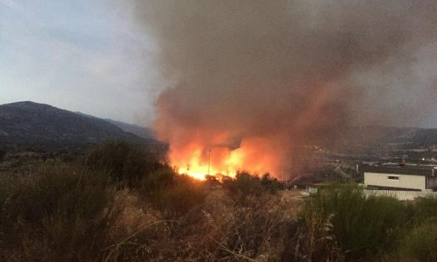Cuatro incendios provocados ponen en alerta a la ciudad de Plasencia durante la madrugada