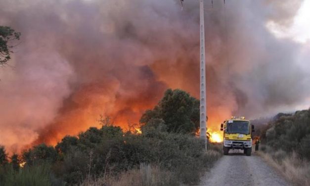El incendio de Serradilla del Llano cerca de Las Hurdes ha sido controlado tras calcinar decenas de hectáreas