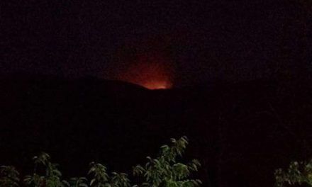 El colectivo Natura 2000 considera que el incendio registrado en el Valle del Jerte «ha sido provocado»