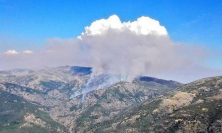 La Mancomunidad del Valle del Jerte asegura que el incendio no representa ningún riesgo