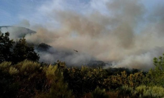 El incendio de Sierra de Gata en el municipio de San Martín de Trevejo se encuentra extinguido