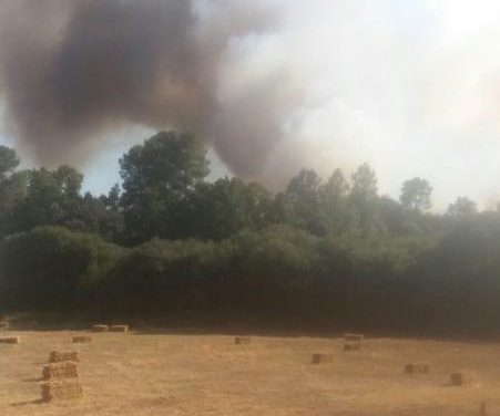 El incendio forestal declarado en el municipio de Villasbuenas de Gata se encuentra controlado