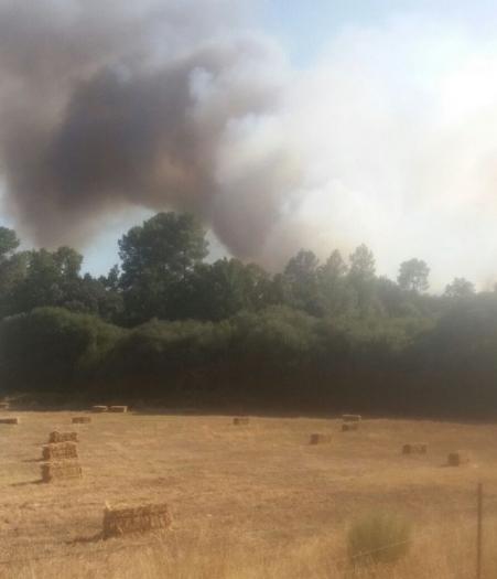 El incendio forestal declarado en el municipio de Villasbuenas de Gata se encuentra controlado