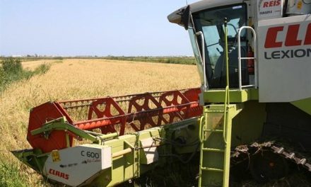 La Junta de Extremadura regula requisitos legales de gestión y buena condición agraria