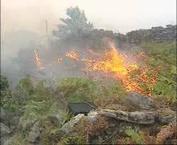 Medio Ambiente establecerá este domingo la época de peligro bajo de incendios forestales en la región