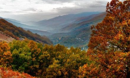 El Valle del Jerte da la bienvenida al otoño con la celebración de la XIV Otoñada
