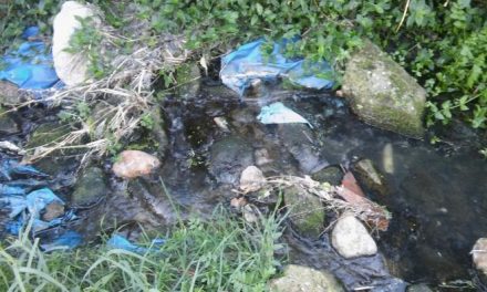El PP de Hoyos denuncia el mal estado del agua del arroyo Rozay a su paso por la localidad