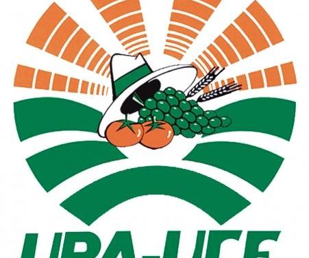 Varios miembros de UPA-UCE en Plasencia y Coria son detenidos por supuesta financiación ilegal