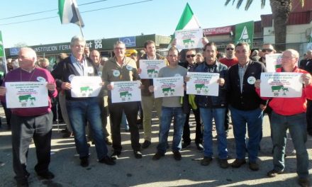 Unos 1.000 ganaderos de la región protestan en Trujillo por la incidencia de la tuberculosis bovina