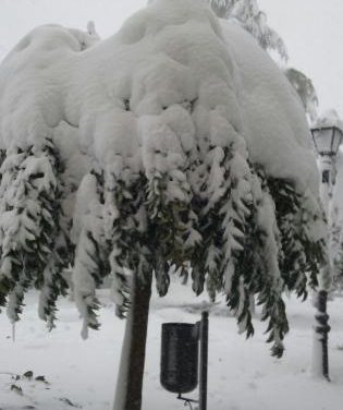 El municipio jerteño de Piornal registra este viernes la primera nevada de la temporada