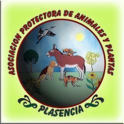 La Protectora de Animales y Plantas de Plasencia llevará a cabo una campaña de adopción durante la Navidad