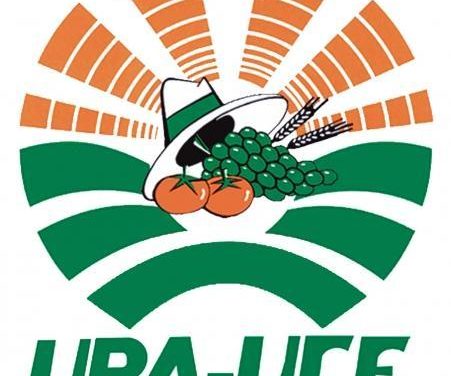 UPA-UCE culpa a su asesor, Miguel Apolo, del supuesto entramado de financiación ilegal de la organización