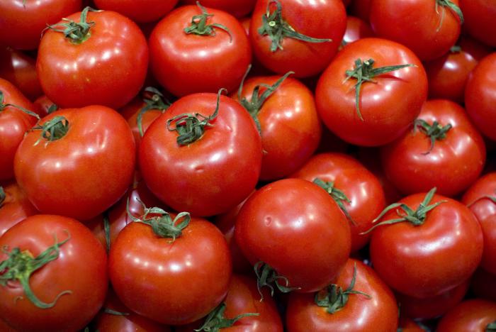 UPA-UCE y representantes del sector productor definen las líneas de negociación de la campaña del tomate