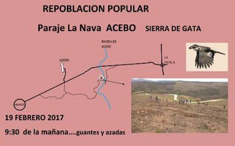 El paraje de La Nava en Sierra de Gata acogerá este domingo una jornada popular de replantación