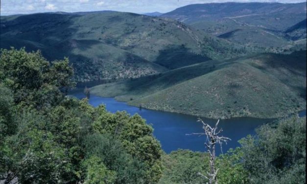 Monfragüe celebrará el décimo aniversario de su declaración como Parque Nacional con actividades
