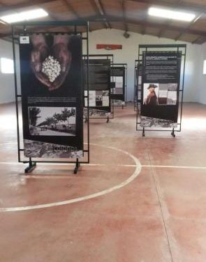 La pedanía de Valdecín mostrará el fenómeno de la colonización con la exposición «Colonos»