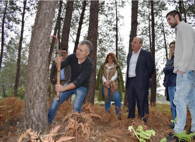 Monago lamenta en Sierra de Gata «la falta de inversiones» en la actividad forestal por parte de la Junta