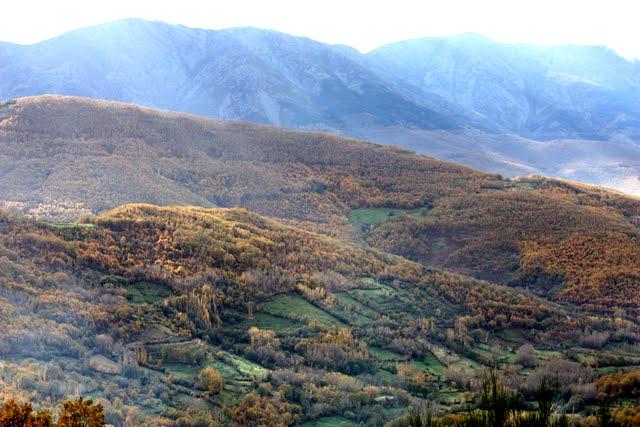Las solicitudes para ayudas LEADER en el Valle del Ambroz podrán presentarse a partir del lunes