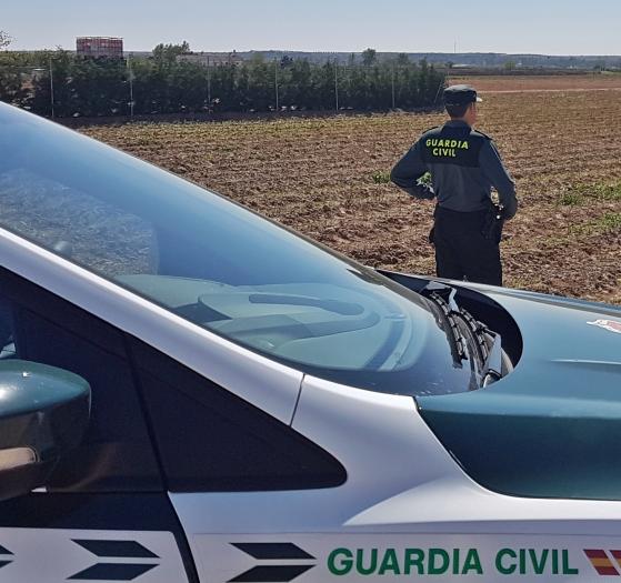 Investigan a dos vecinos de Badajoz como presuntos autores del robo de 700 kilos de espárragos