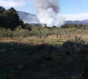 El incendio ocurrido este domingo en Cadalso calcina unas 15 hectáreas de pinar y olivar