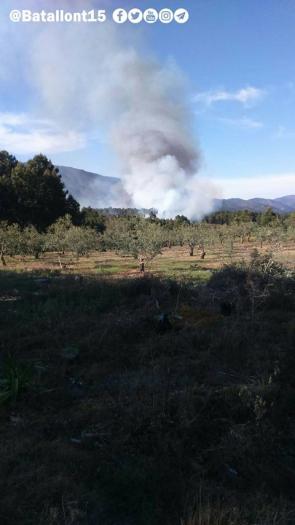 El incendio ocurrido este domingo en Cadalso calcina unas 15 hectáreas de pinar y olivar