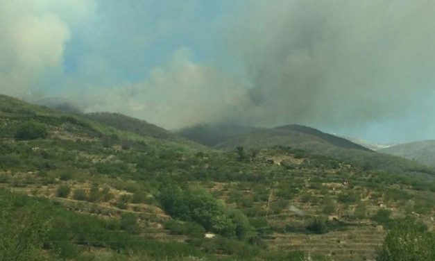 Cinco medios aéreos trabajan en el incendio ocurrido el pasado miércoles en Jerte
