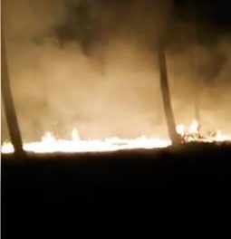 Villasbuenas de Gata registra en la noche de este lunes un incendio forestal que ya está extinguido