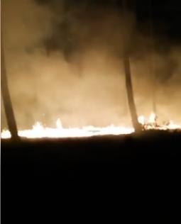 Villasbuenas de Gata registra en la noche de este lunes un incendio forestal que ya está extinguido