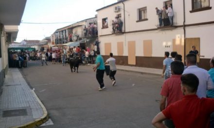 Las calles de Moraleja se preparan ya para acoger el próximo lunes la fiesta del Primero de Mayo