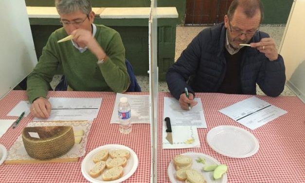 Dos quesos extremeños y dos malagueños ganan la cata concurso de la Feria Nacional del Queso de Trujillo
